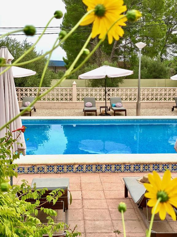 Casa de Los Lirios, Muro de Alcoy – Precios actualizados 2023