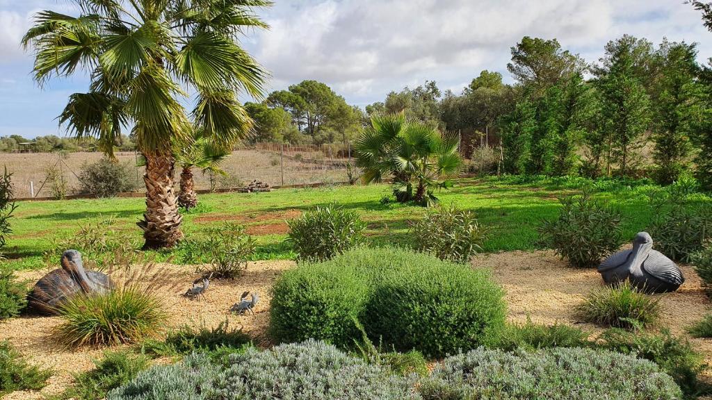 Finca Son Amal, Algaida – Precios 2022 actualizados