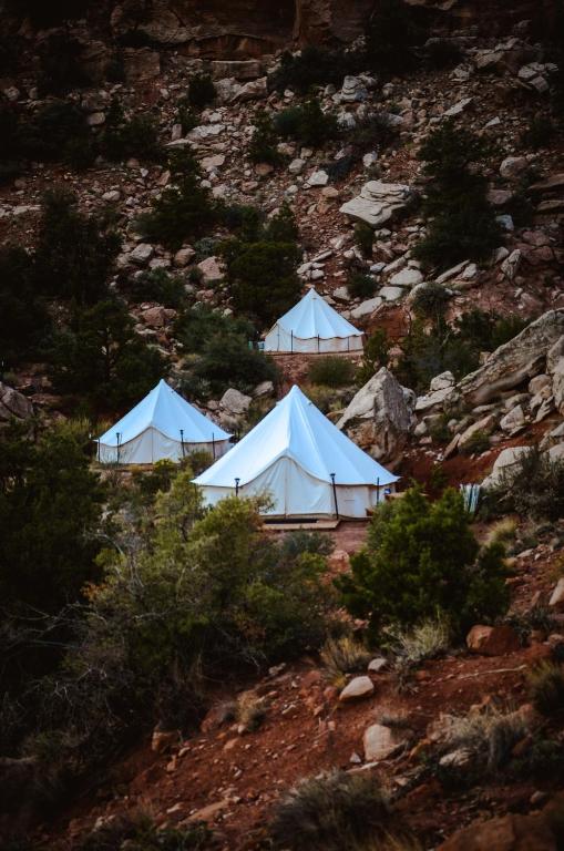 Příroda nedaleko luxury tent