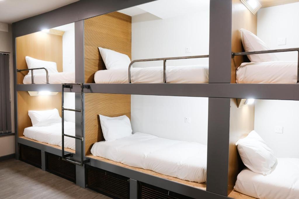 a group of bunk beds in a dorm room at Cwtsh Hostel in Swansea