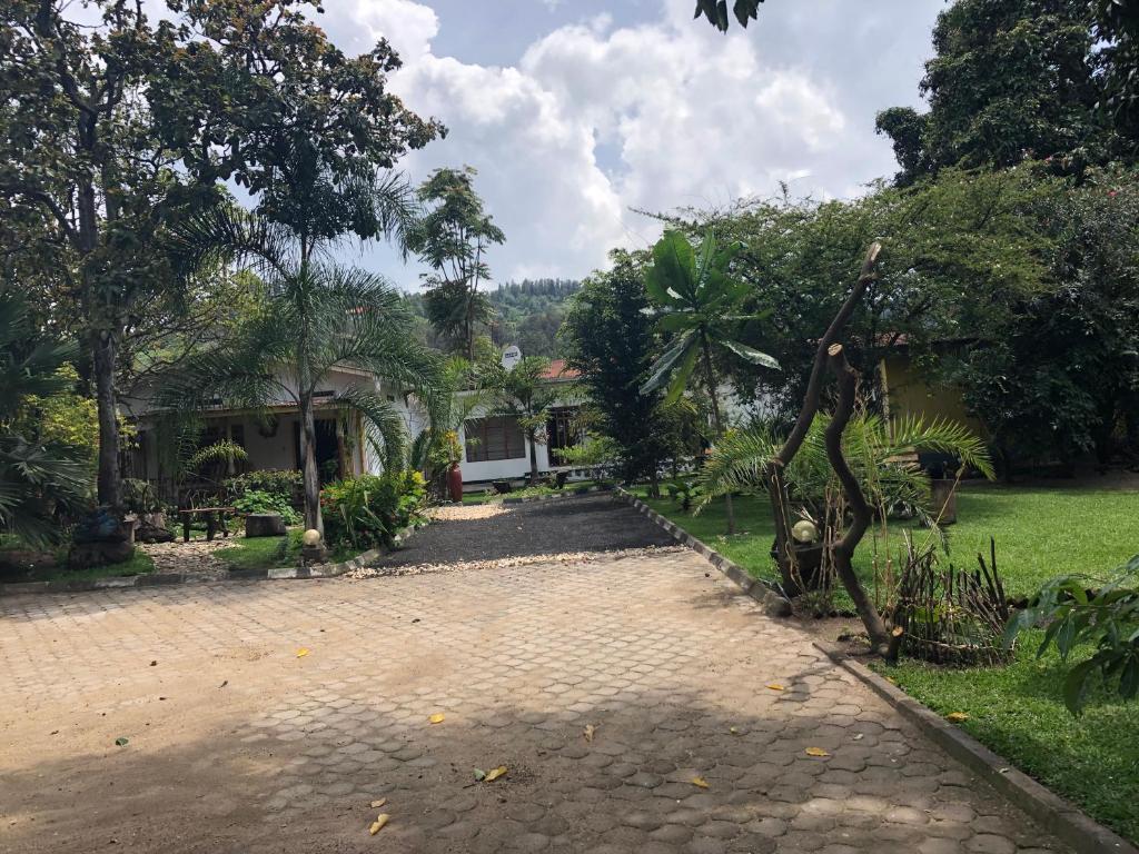 a house with a brick driveway in front of a yard at Kivu Beach Garden in Gisenyi