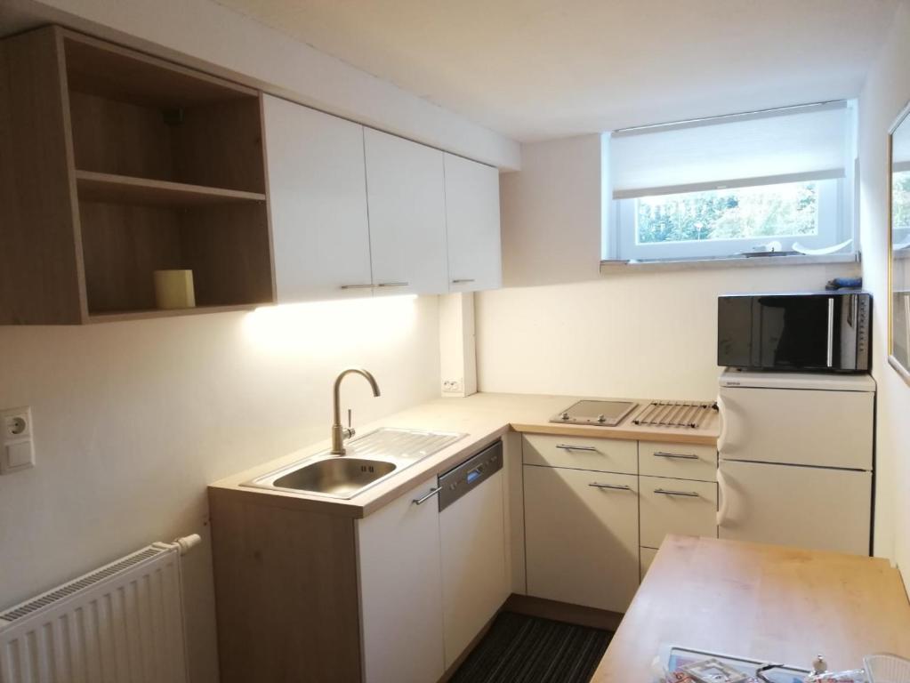 Apartment Reininghaus - Low budget tesisinde mutfak veya mini mutfak