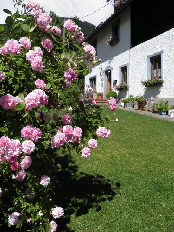 Zahrada ubytování Haus Hanshois