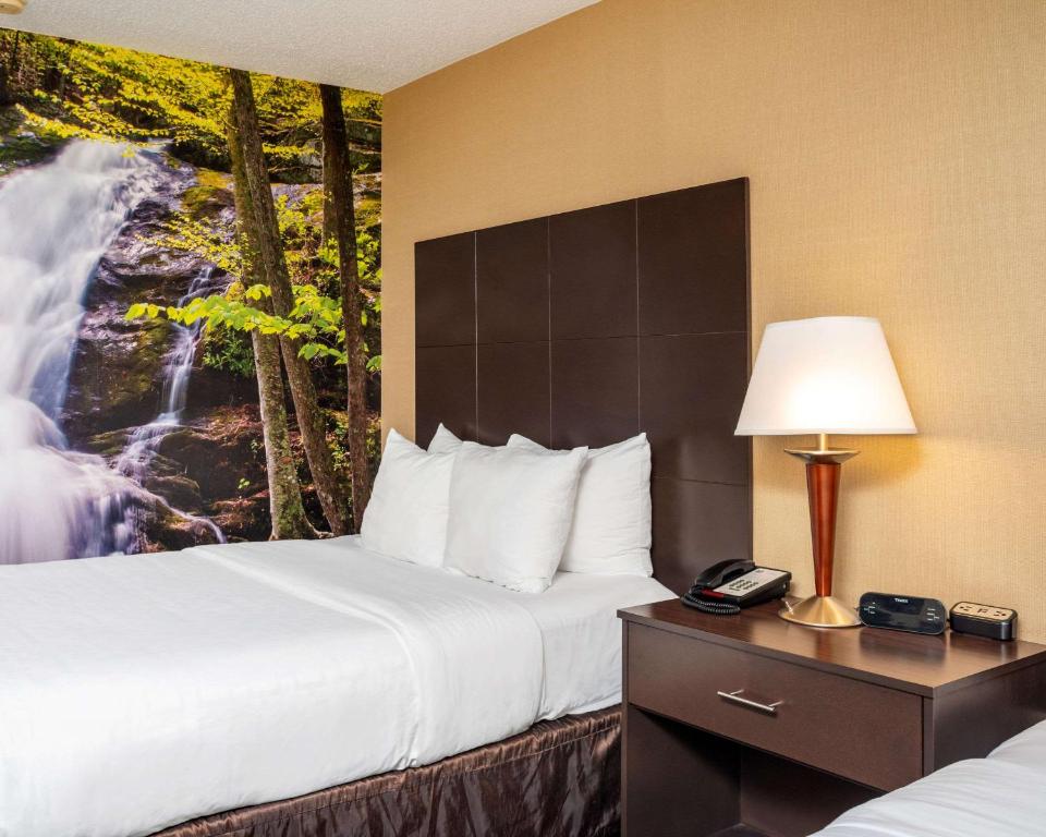 Clarion Pointe Harrisonburg - Chambre Double Avec 2 Lits Doubles - Non-Fumeurs