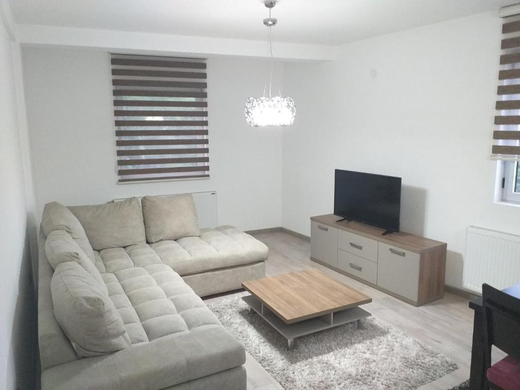 Il comprend un salon doté d'un canapé et d'une télévision à écran plat. dans l'établissement Apartmani Dojčinović, à Vranje