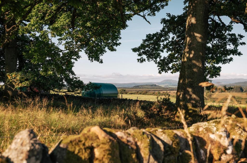 un fienile in mezzo a un campo con un albero di Further Space at Cardross Estate Luxury Glamping Pods, Stirling, Scotland a Stirling