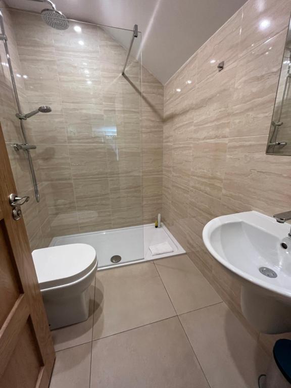 a bathroom with a toilet and a tub and a sink at Old Irish farmhouse in Dingle