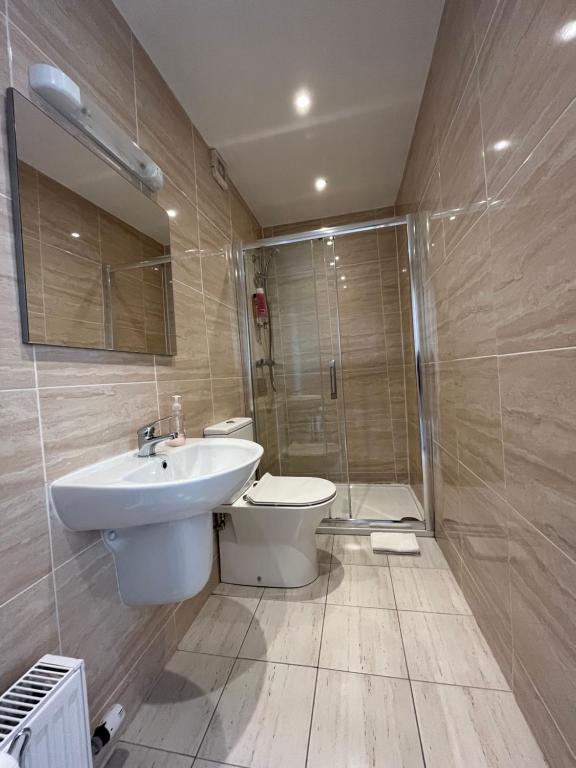 a bathroom with a toilet and a sink and a shower at Old Irish farmhouse in Dingle