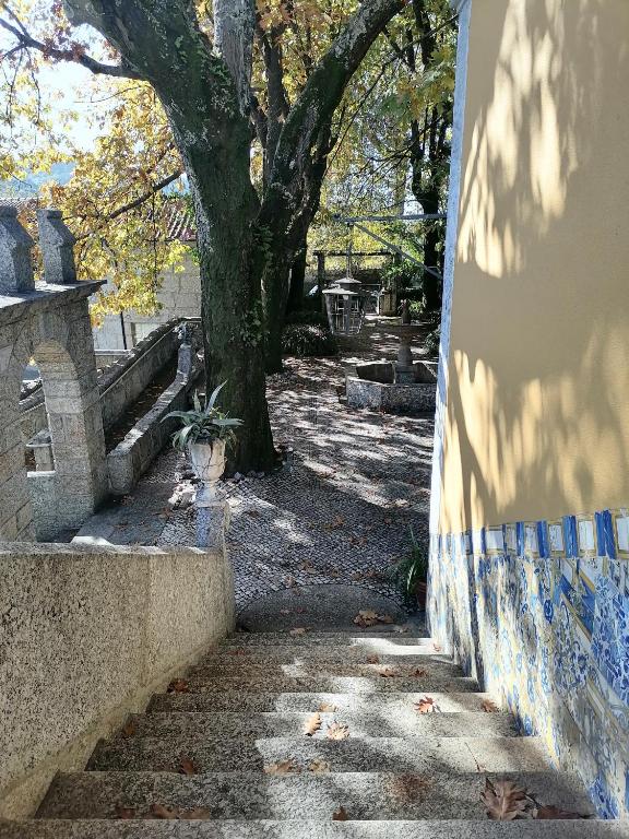 Fotografie z fotogalerie ubytování Camelia Rooms v destinaci Guimarães