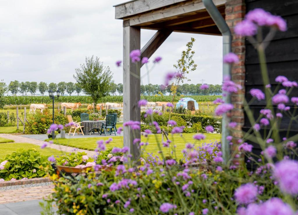 un giardino con fiori viola e pergolato in legno di B&B In ons straatje a Rosmalen