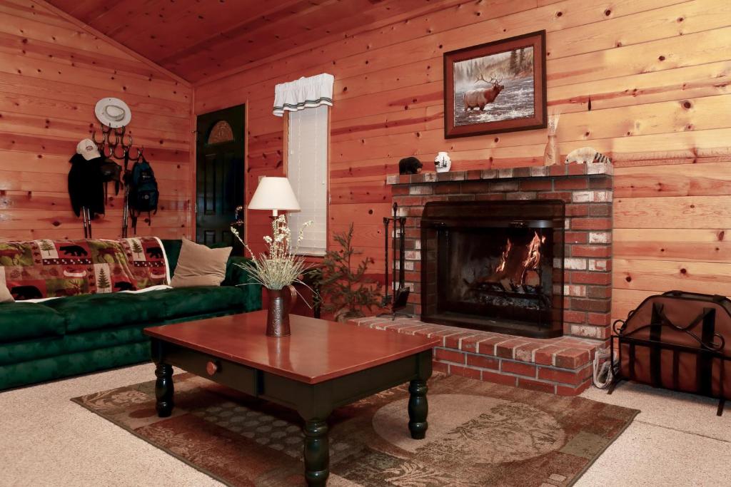 sala de estar con chimenea y sofá verde en Elk Horn Retreat, en Idyllwild