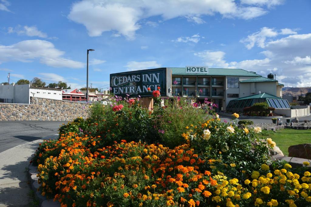 Zahrada ubytování Cedars Inn
