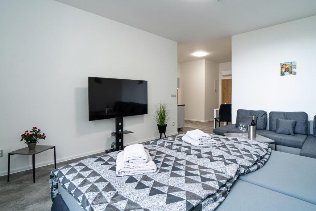TV a/nebo společenská místnost v ubytování Apartmány Venuše