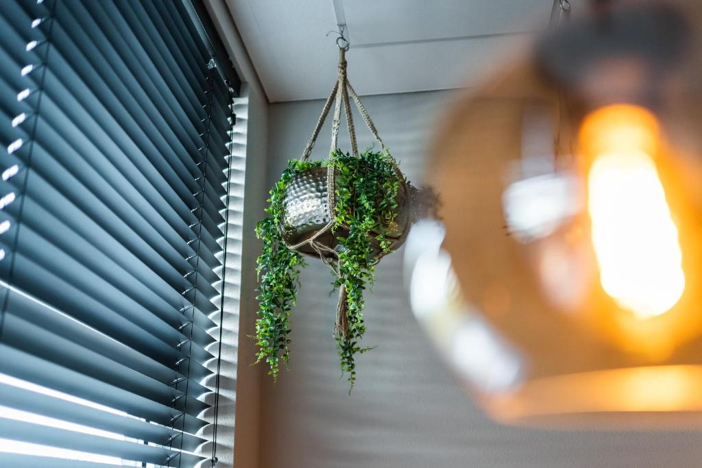 Onderwijshotel De Rooi Pannen Eindhoven - Resim 38