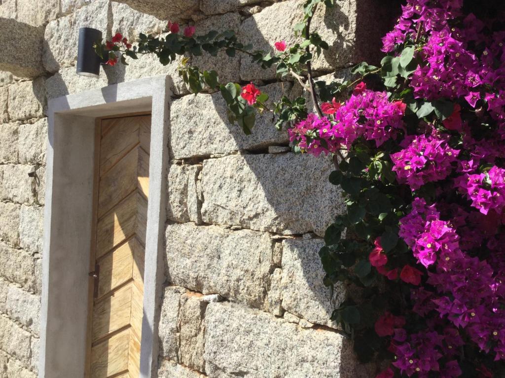 uma porta numa parede de pedra com flores roxas em Le moulin de Figari em Figari