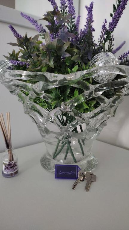 Fotografie z fotogalerie ubytování Lavender Home v destinaci Volos