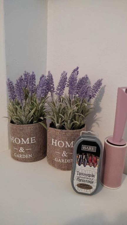 Fotografie z fotogalerie ubytování Lavender Home v destinaci Volos