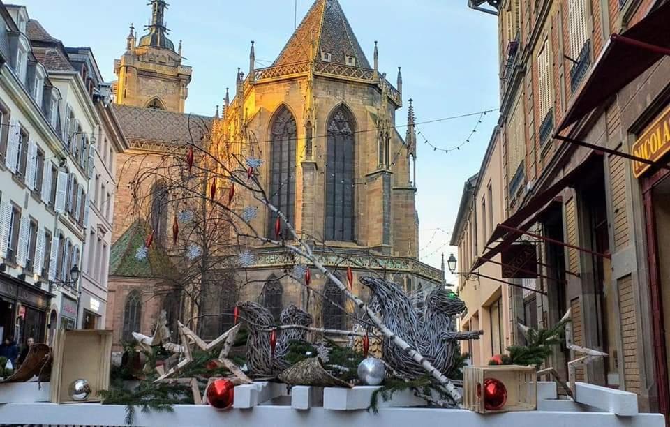 LE ST JOSSE GITE TOUT CONFORT A COLMAR – photo 6