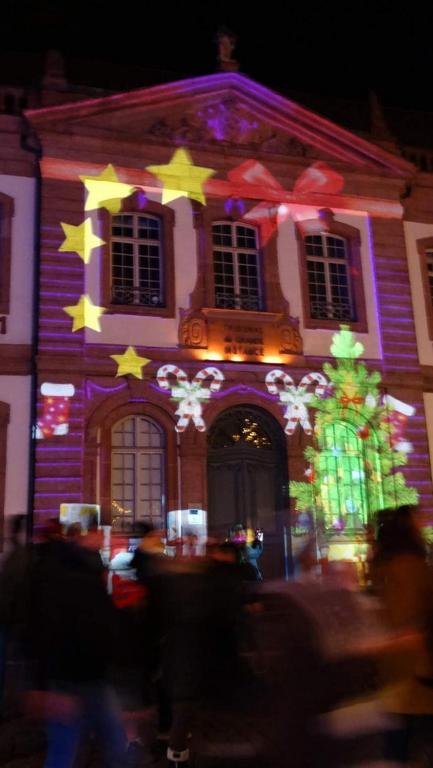 LE ST JOSSE GITE TOUT CONFORT A COLMAR – photo 21