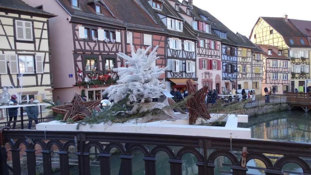 LE ST JOSSE GITE TOUT CONFORT A COLMAR – photo 19
