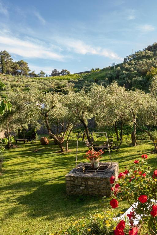 a garden with trees and flowers in the grass at Agriturismo Buranco in Monterosso al Mare