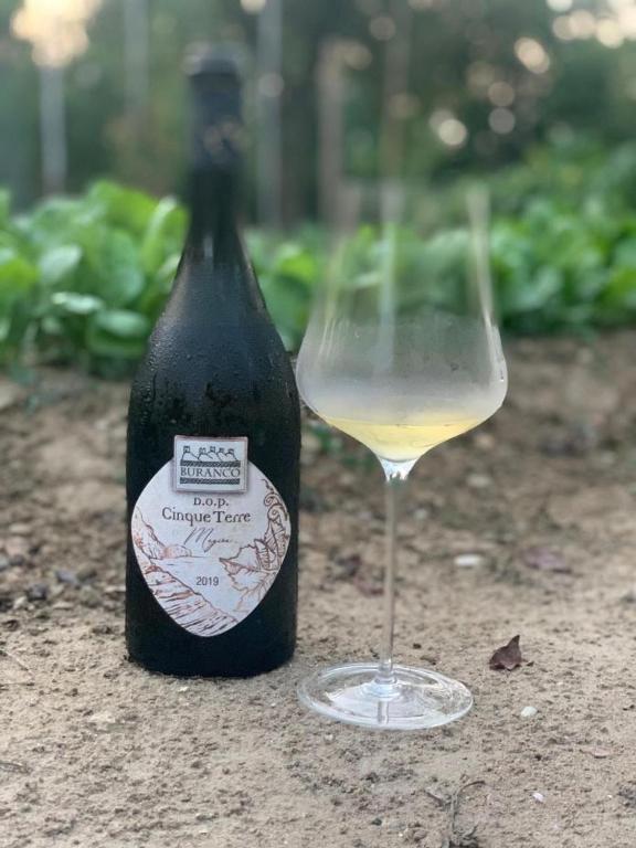 a bottle of wine sitting next to a glass at Agriturismo Buranco in Monterosso al Mare