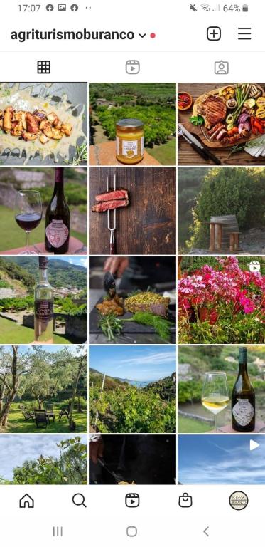 a collage of photos of flowers and wine bottles at Agriturismo Buranco in Monterosso al Mare