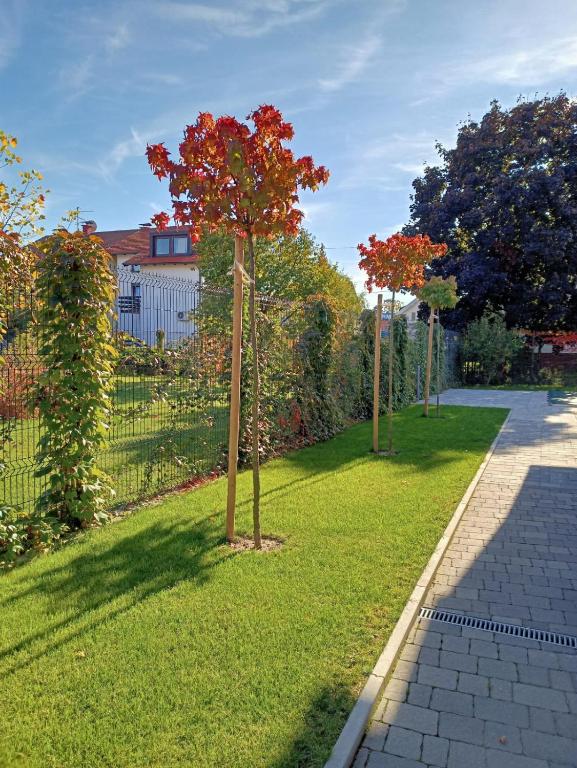 Old Town Zagreb Airport - 9