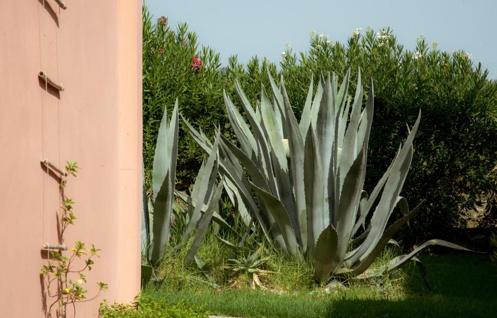 Zahrada ubytování Ecoresort Hotel Zefyros