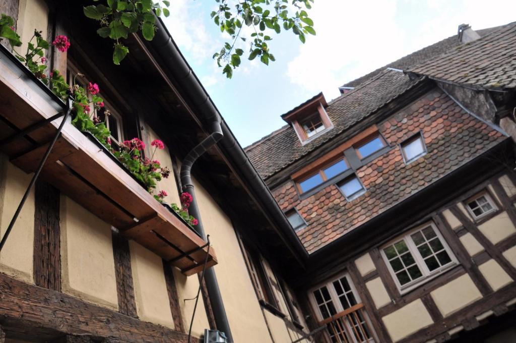 Les Gîtes Coeur de Vigne – photo 33