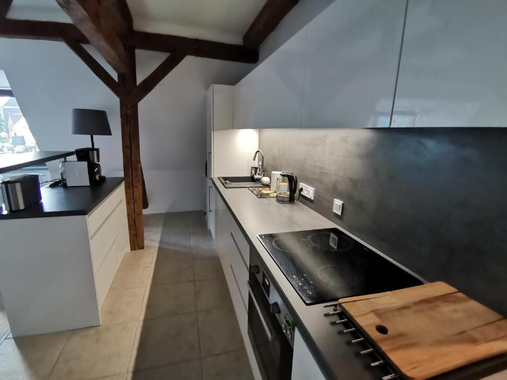 Kuchyň nebo kuchyňský kout v ubytování APARTMÁNY 91 Boží Dar