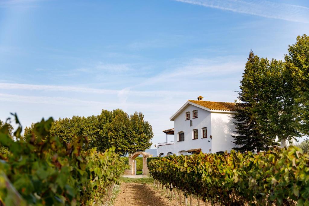 a white building in the middle of a vineyard at Casa Fontanals in Pla del Panadés