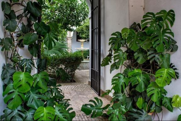 Ogród w obiekcie Apartamento en un dormitorio en Plaza Alfaro