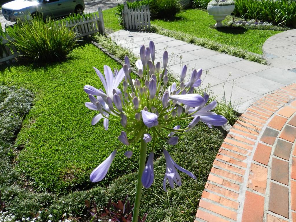  Pousada Jardim Azul
