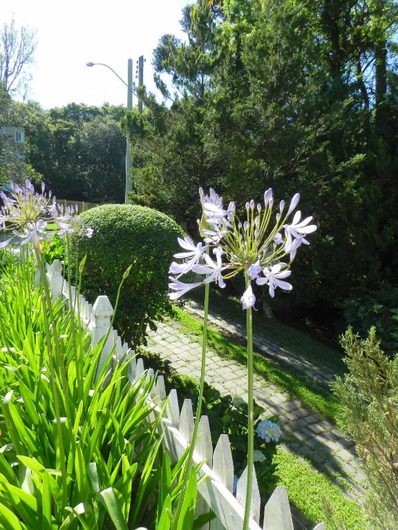  Pousada Jardim Azul