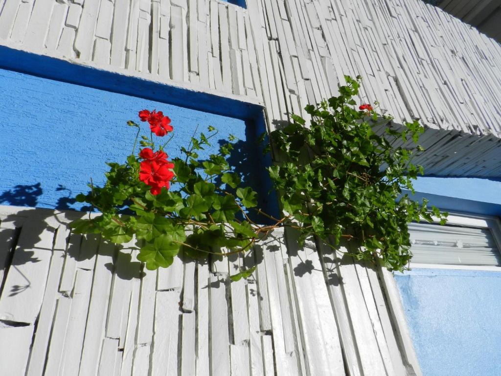  Pousada Jardim Azul