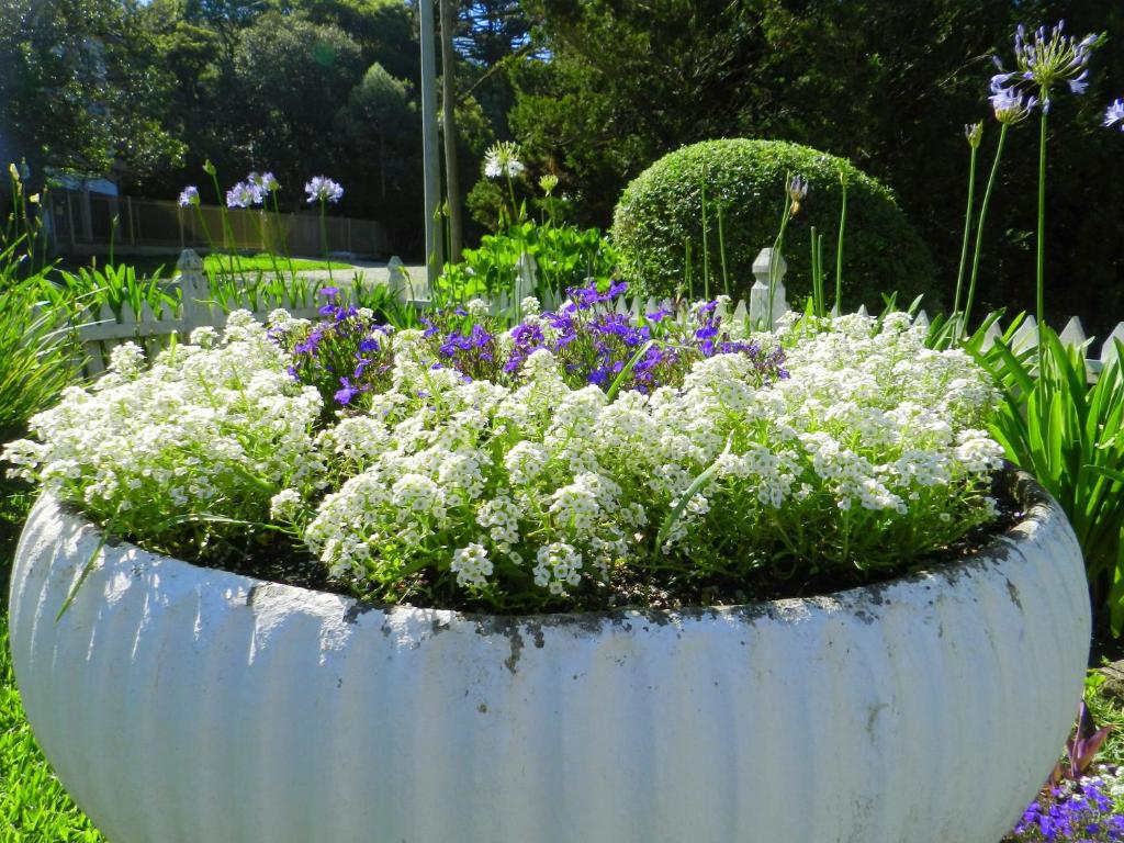  Pousada Jardim Azul