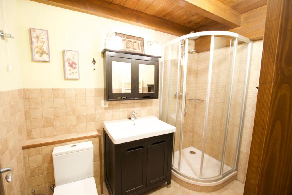 a bathroom with a shower and a sink and a toilet at Duplex el Pla de la Tour in Latour-de-Carol