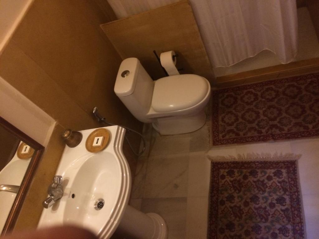 a small bathroom with a toilet and a sink at Killa Bhawan Lodge in Jaisalmer