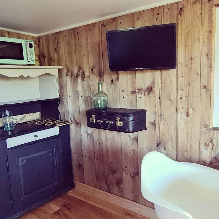 a kitchen with wooden walls with a stove and a microwave at Le monde d&#39;Echozellia in Saint-Germain-des-Champs