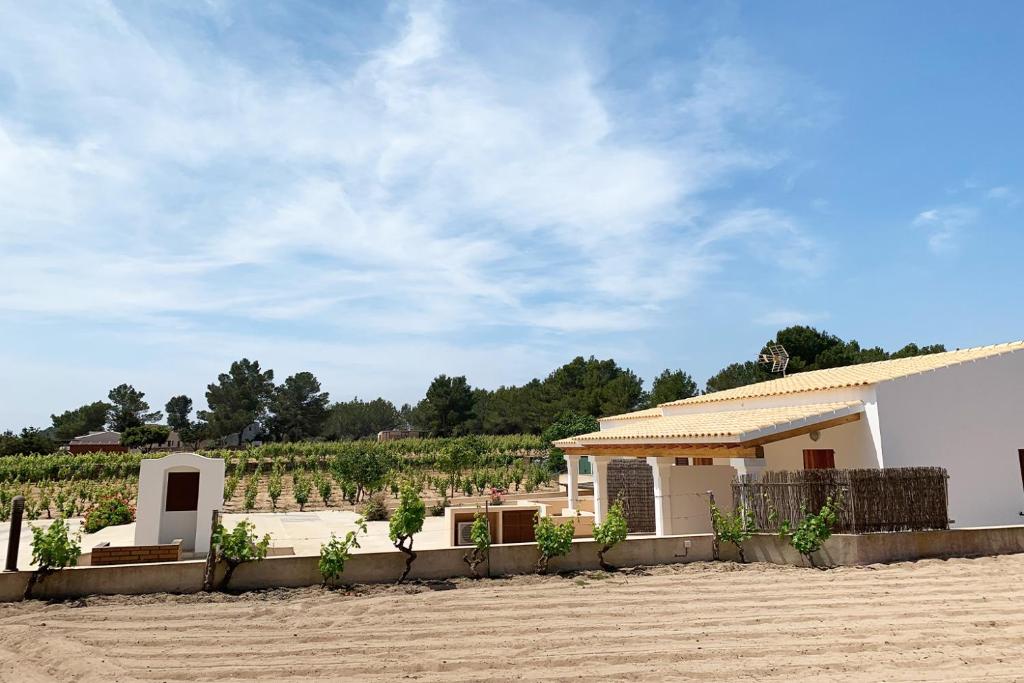um edifício em frente a um campo de uvas em Aptos rurales Can Pep de Sa Barda - Viñedos y tranquilidad em Sant Francesc Xavier