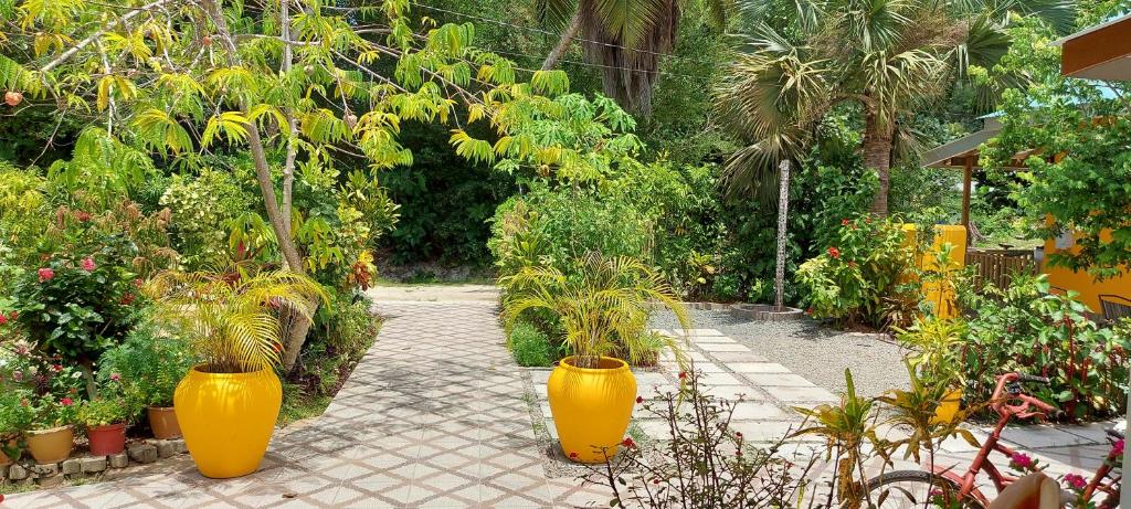 Deux grands vases jaunes dans un jardin planté de plantes dans l'établissement Chez Mera Self Catering, à La Digue