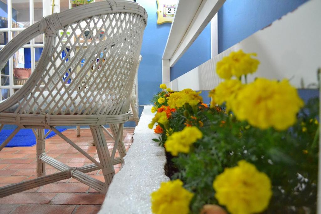  Pousada Jardim Azul