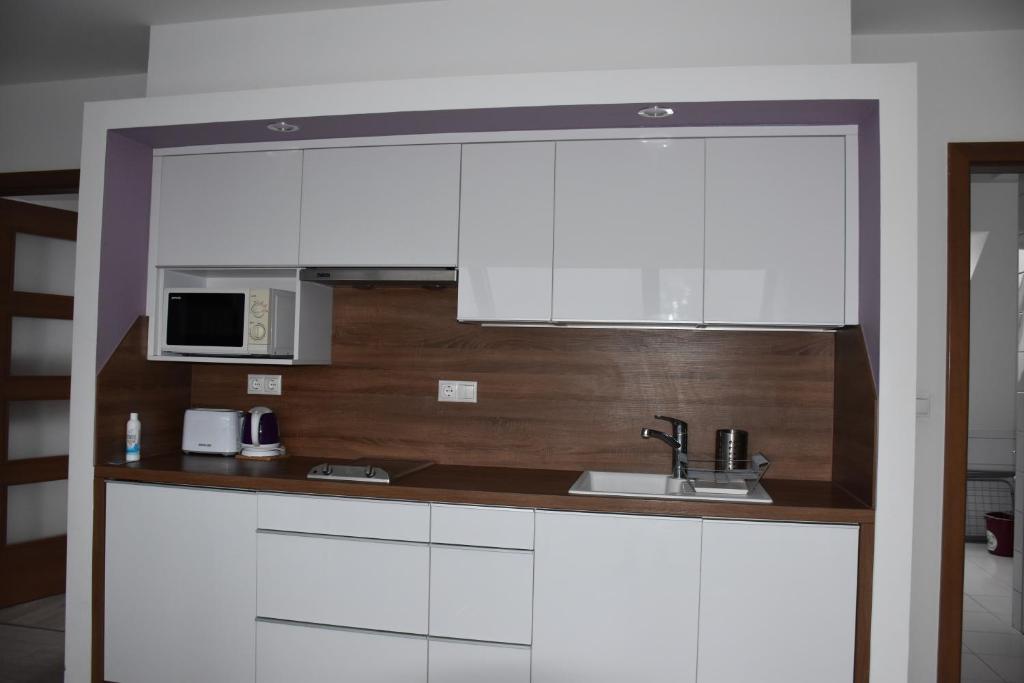 Kuchyňa alebo kuchynka v ubytovaní Rubin Anett Apartman Sárvár