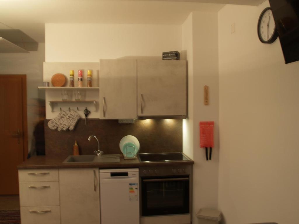 Kuchyň nebo kuchyňský kout v ubytování LG Tiny