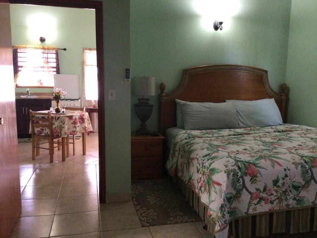 Postel nebo postele na pokoji v ubytování Antigua Seaview