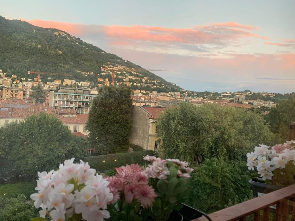 Táj az apartman közelében