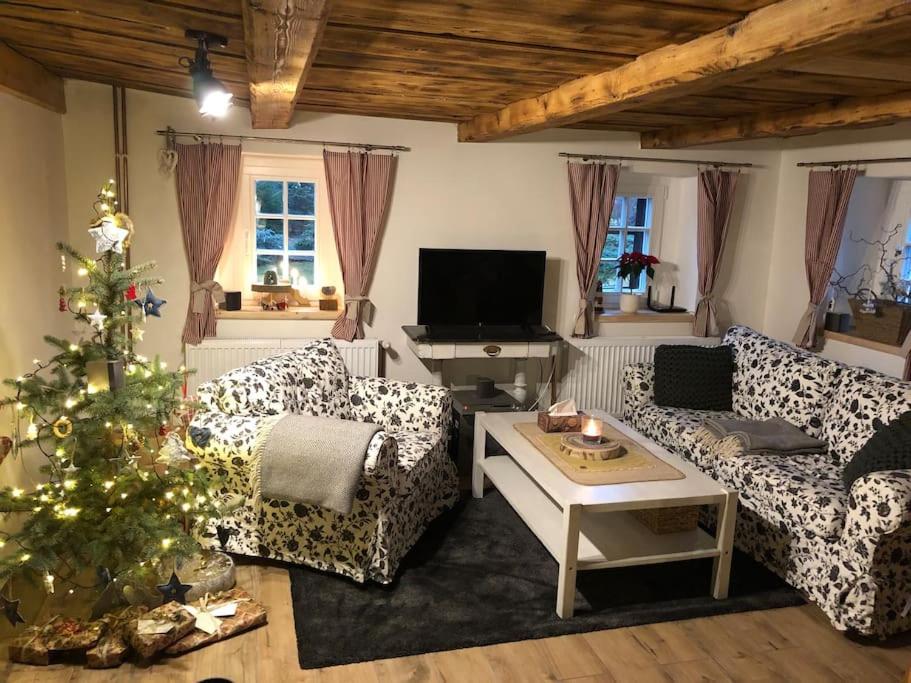 TV a/nebo společenská místnost v ubytování Hájenka Sněžník