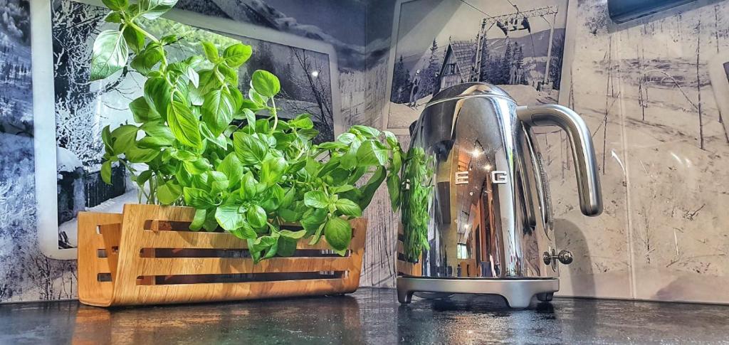 Príslušenstvo na prípravu kávy alebo čaju v ubytovaní Apartamenty Zielona 9