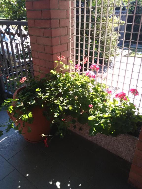 Ogród w obiekcie Casa Lumiere
